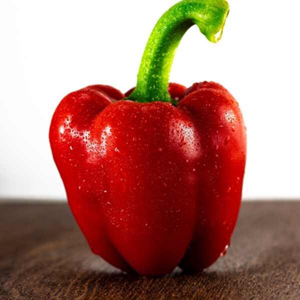 capsicum-california-wonder-seeds