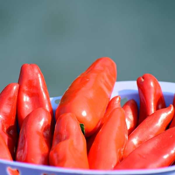 chilli anaheim in a bowl