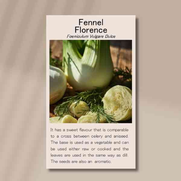 fennel-front fennel-front