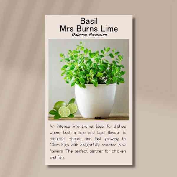 mrs-burns-front mrs-burns-front