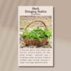 nettle-stinging-front