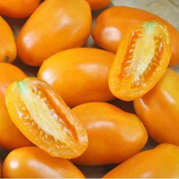 tomato-golden-roma-seeds-3 tomato-golden-roma-seeds-3