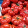 tomato-rouge-de-marmand-seeds-3