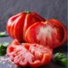 tomato-santorini-seeds-4