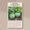 zucchini-ronde-nice-front