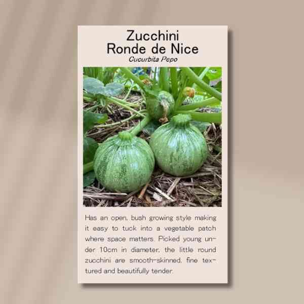 zucchini-ronde-nice-front zucchini-ronde-nice-front