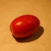 tomato-napoli-seeds-3