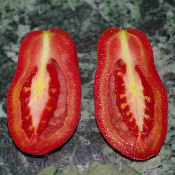 tomato-san-marzano-seeds-2 tomato-san-marzano-seeds-2