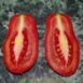 tomato-san-marzano-seeds-2