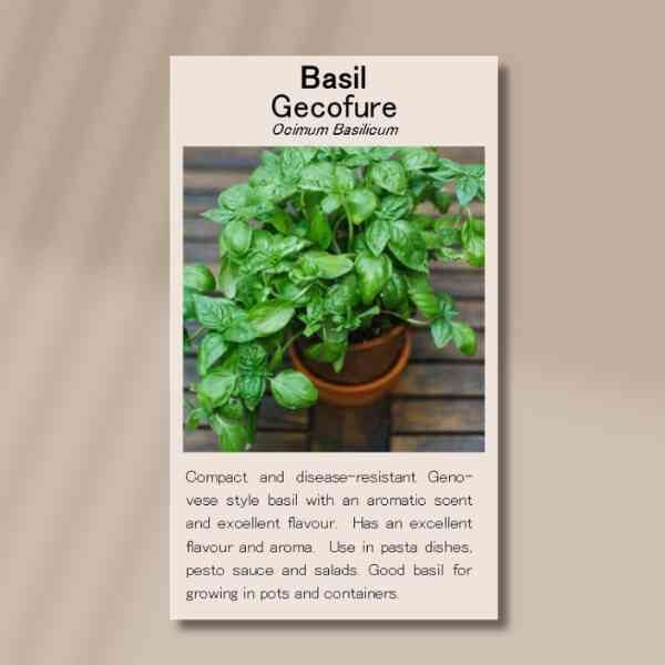 basil-gecofure-front basil-gecofure-front