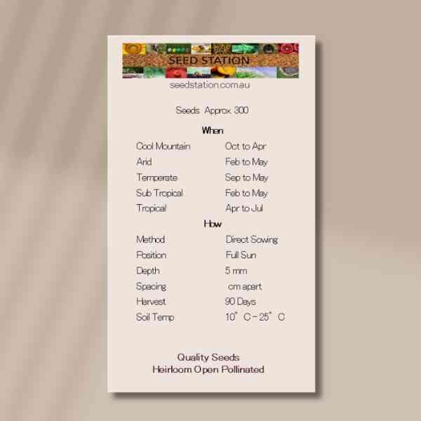 hamburg-root-back hamburg-root-back