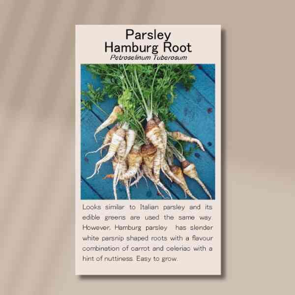 hamburg-root-front hamburg-root-front