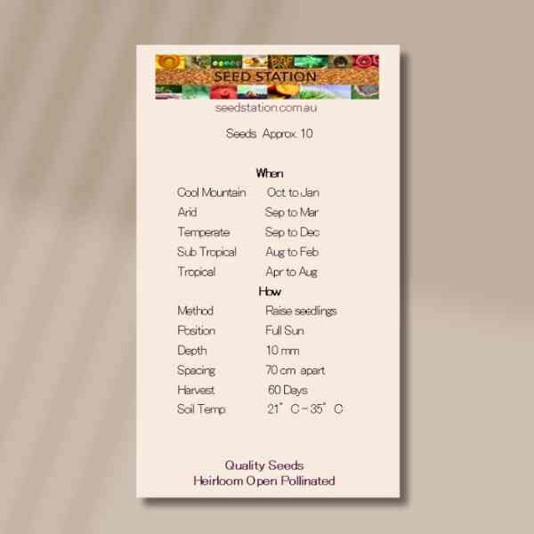 bennings-green-back bennings-green-back