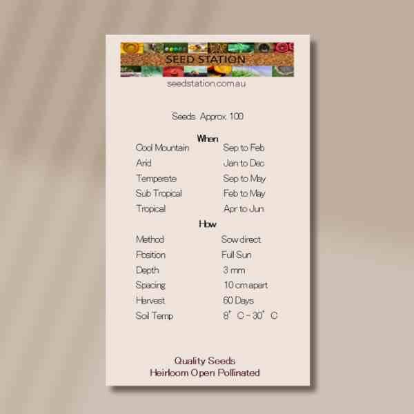 carrot-atomic-front carrot-atomic-front