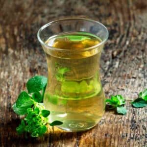 greek-oregano-seeds-5