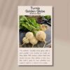 turnip-golden-globe-front