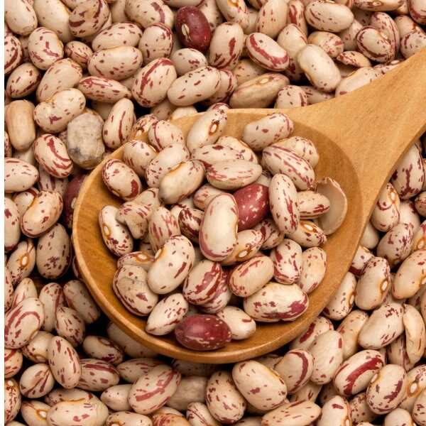 bean-borlotto-lingua-di-fuoco-seed-3 bean-borlotto-lingua-di-fuoco-seed-3