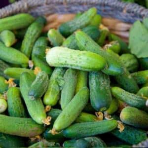 Cucumber National Pickler