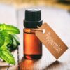 herb-peppermint-seeds-1