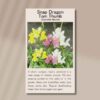 front of tom thumb snapdragon seed packet