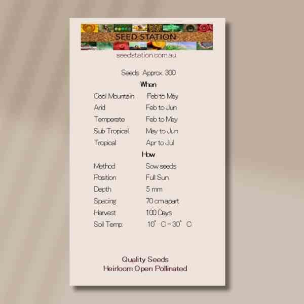 cabbage-verona-purple-seed-packet-back2 cabbage-verona-purple-seed-packet-back2