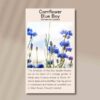 cornflower-blue-front