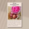 Onion amposta front