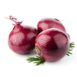 onion-amposta-purple-seeds