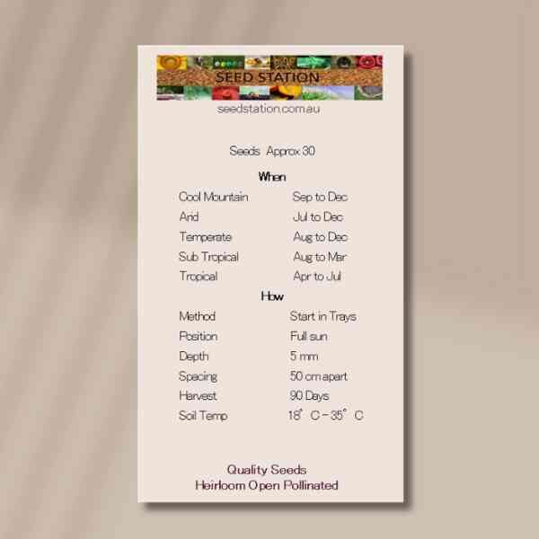 chilli-serrano-seeds-back chilli-serrano-seeds-back