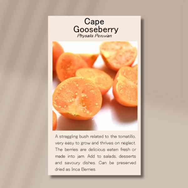 cape-gooseberry-front cape-gooseberry-front