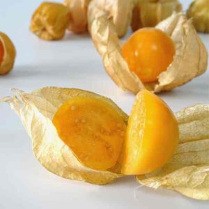 Cape Gooseberry