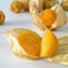 cape-gooseberry-seeds-4