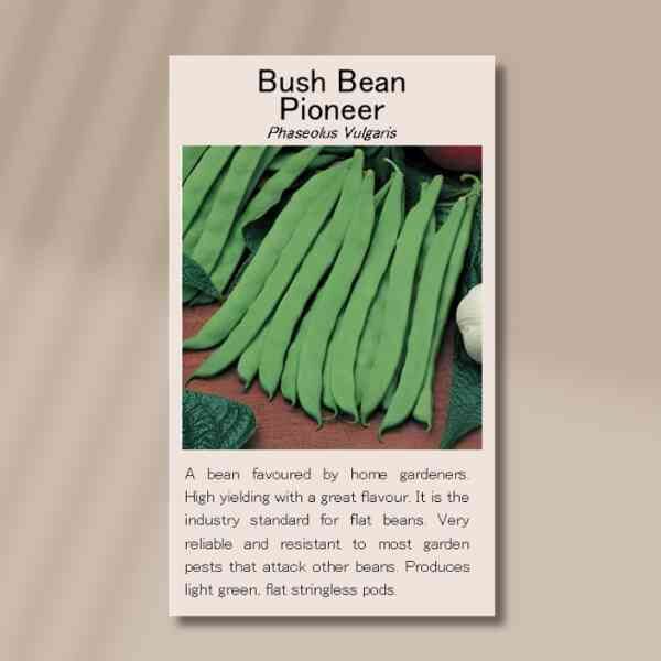 bush-bean-pioneer-front bush-bean-pioneer-front