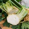 celeriac-white-alabaster-seeds-2