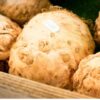 celeriac-white-alabaster-seeds-3