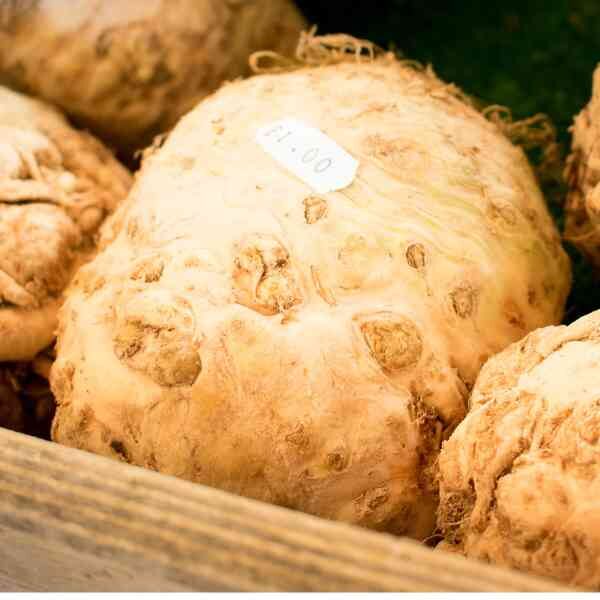 celeriac-white-alabaster-seeds-3 celeriac-white-alabaster-seeds-3
