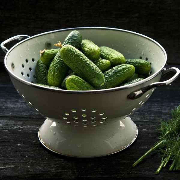 cucumber-lebanese-seeds