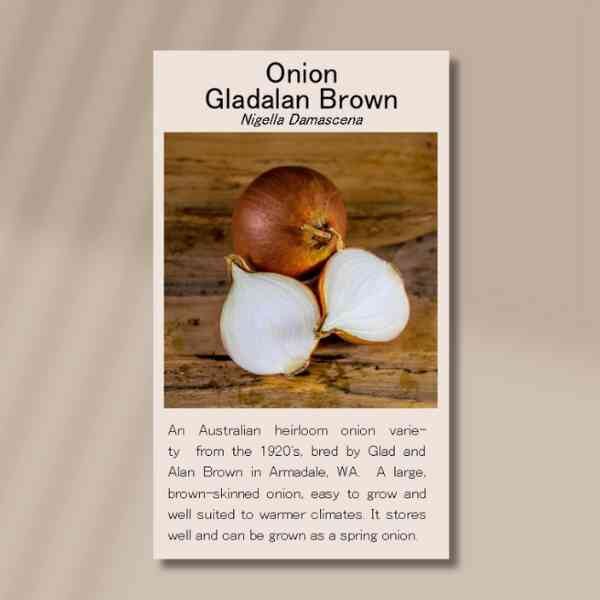 onion-gladalan-seeds-front onion-gladalan-seeds-front
