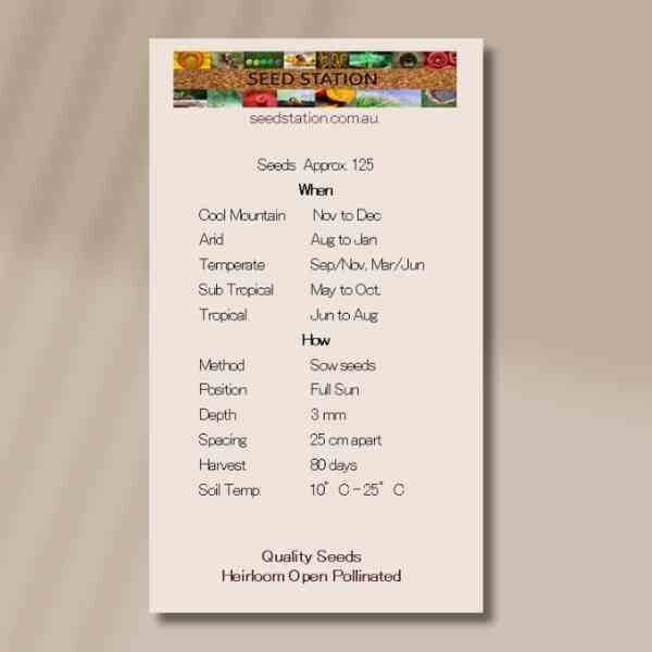 corn-flower-white-ball-seed-packet-back corn-flower-white-ball-seed-packet-back