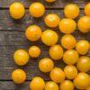 cherry-tomato-tommy-toe-yellow-joy-seeds