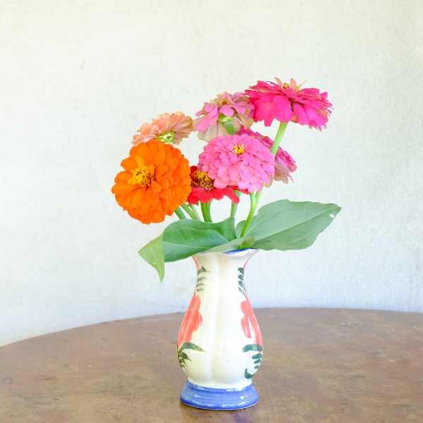 zinnia-lilliput-seeds-2 zinnia-lilliput-seeds-2