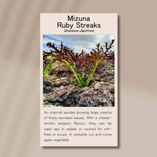 ruby-streaks-front ruby-streaks-front