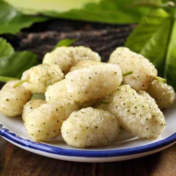 white-mulberry-seeds-5 white-mulberry-seeds-5