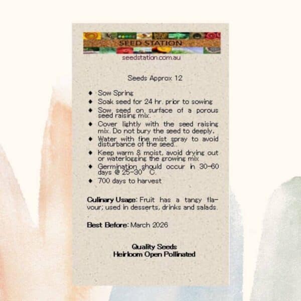 golden-nugget-back golden-nugget-back