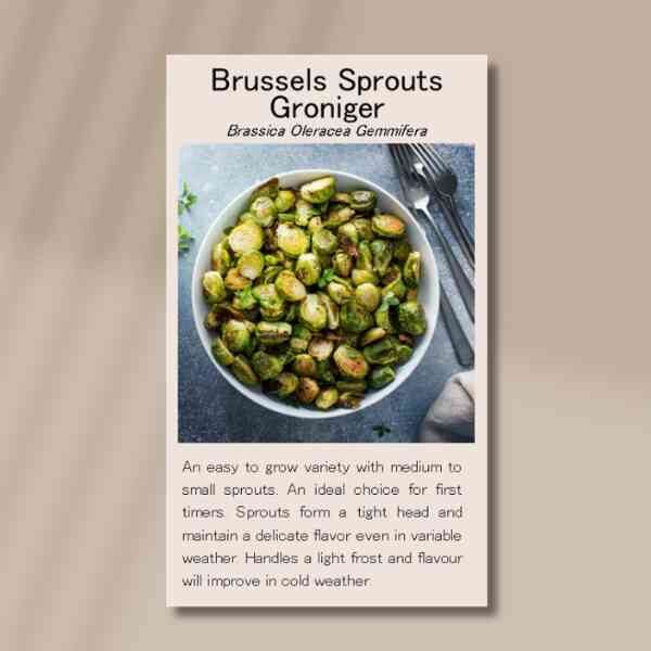 groniger-front groniger-front