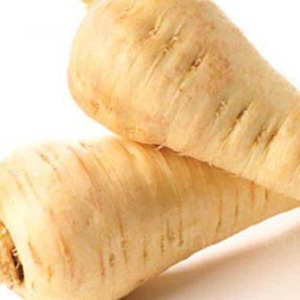 parsnip-white-gem-seeds