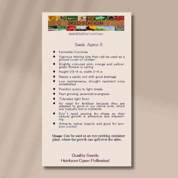 coral-vine-seed-packet-back-2 coral-vine-seed-packet-back-2