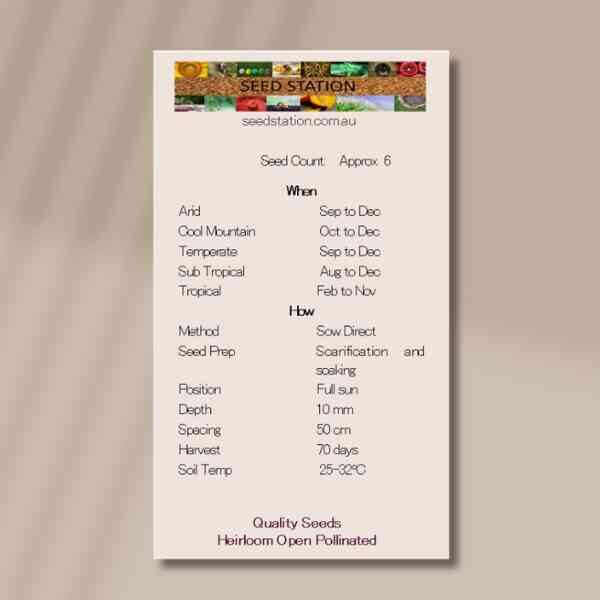 bitter-melon-back bitter-melon-back