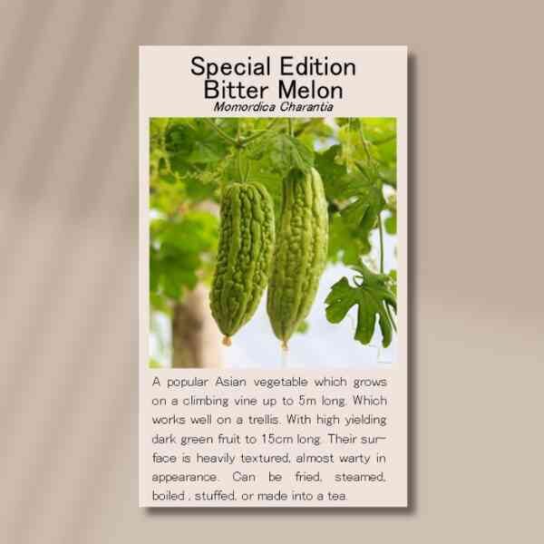 bitter-melon-front bitter-melon-front
