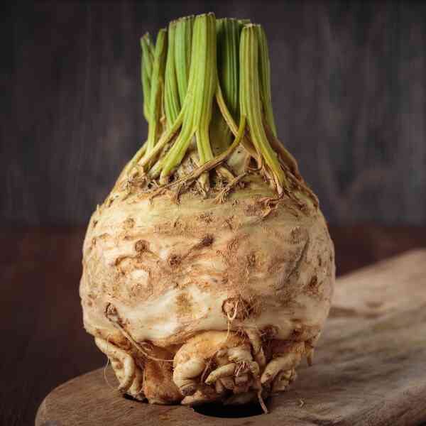 celeriac-talar-seeds-3